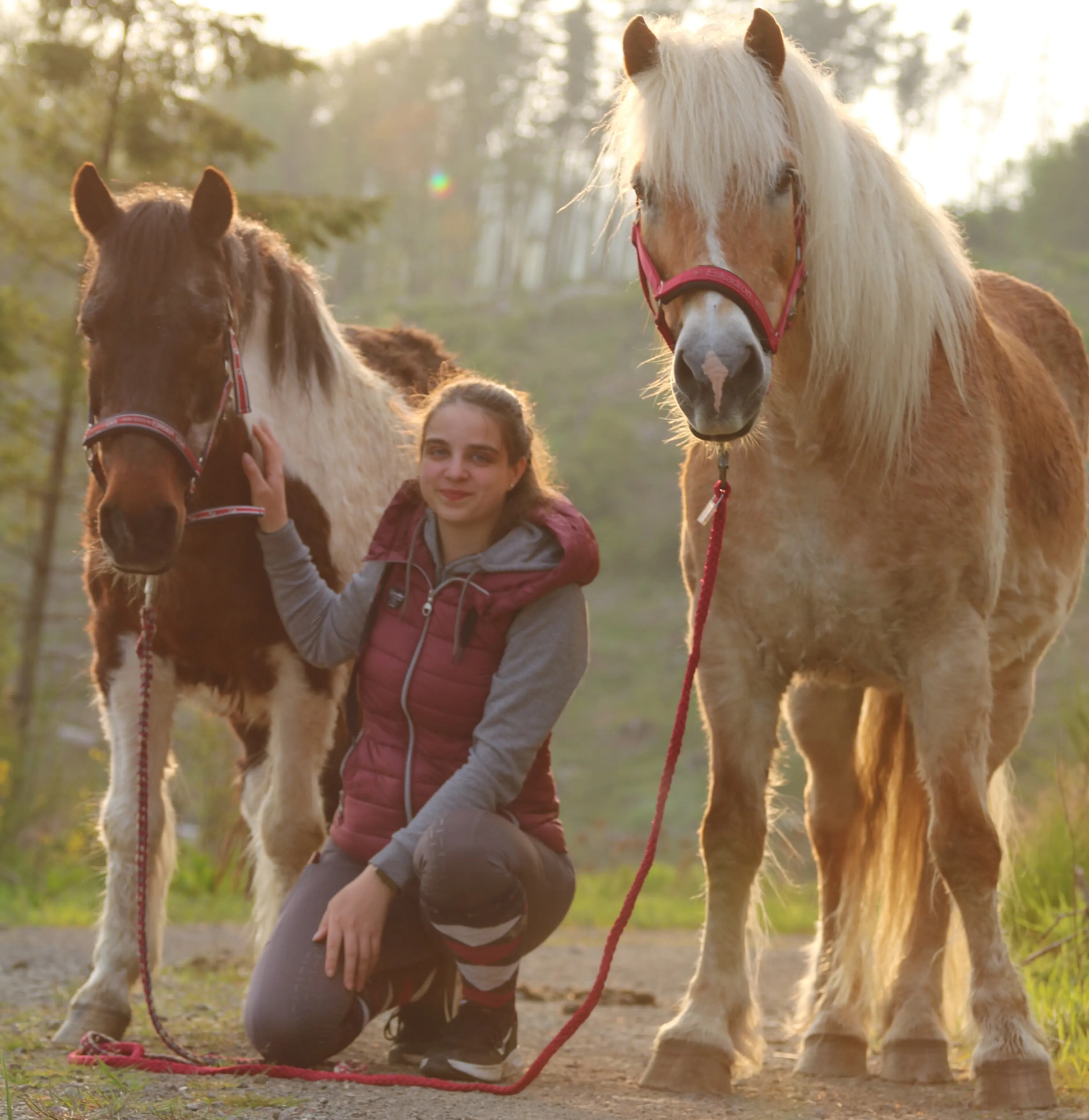 Katharina mit ihren Pferden